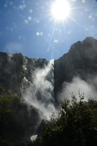 DSC_2339 (Large).JPG